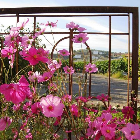 מלון קרבקה דה לה קרוז Jardines De Casablanca מראה חיצוני תמונה