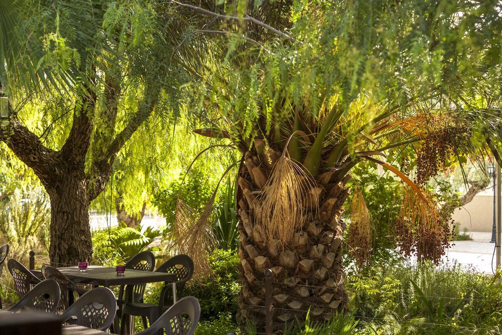 מלון קרבקה דה לה קרוז Jardines De Casablanca מראה חיצוני תמונה