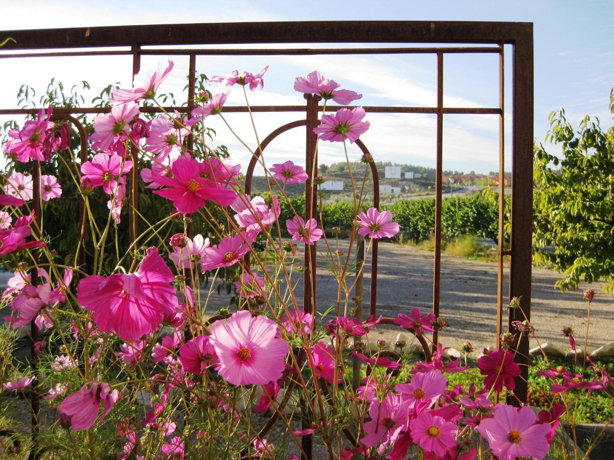 מלון קרבקה דה לה קרוז Jardines De Casablanca מראה חיצוני תמונה