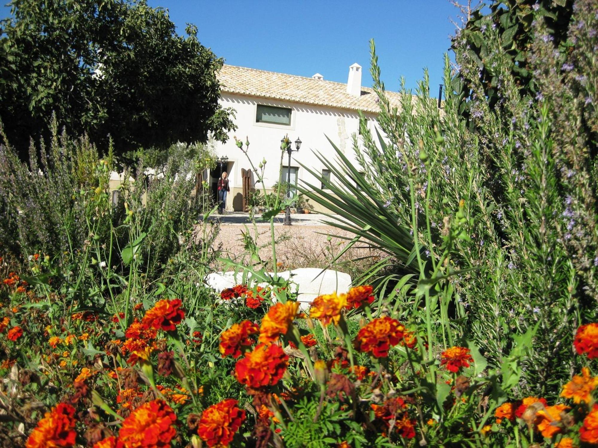 מלון קרבקה דה לה קרוז Jardines De Casablanca מראה חיצוני תמונה