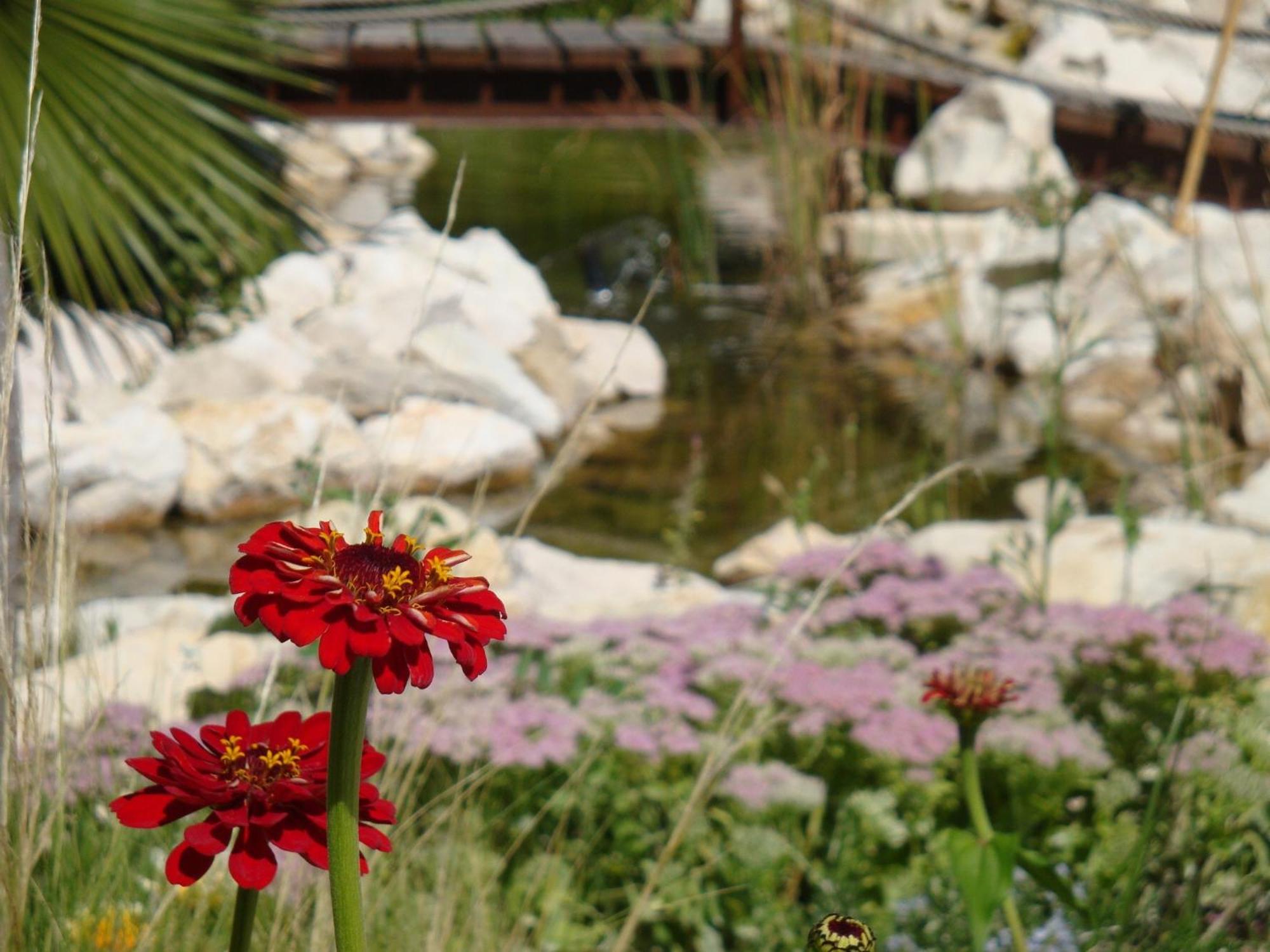 מלון קרבקה דה לה קרוז Jardines De Casablanca מראה חיצוני תמונה