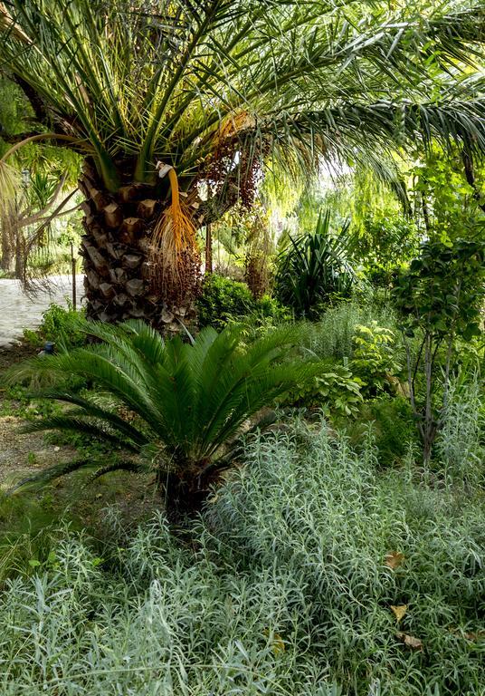 מלון קרבקה דה לה קרוז Jardines De Casablanca מראה חיצוני תמונה